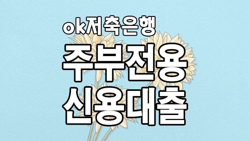 여성 주부전용 소액 신용대출 ok저축은행 주부 ok론 비상금대출