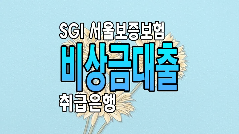 SGI 서울보증보험 보험증권 1금융권 은행 소액 마이너스통장 비상금대출