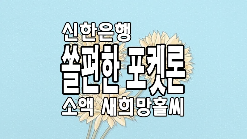 소액 새희망홀씨 신한은행 쏠편한 포켓론 대출자격 금리 한도 알아보기