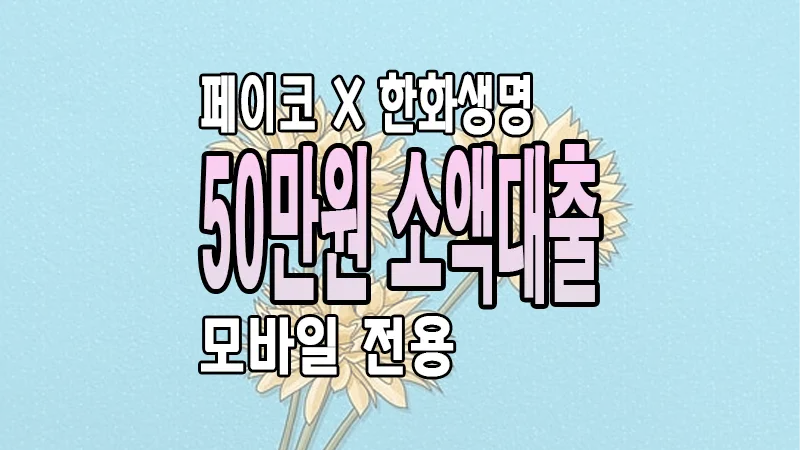 페이코 50만원 소액대출 주부 무직자 한도 금리 자격 요약 정리