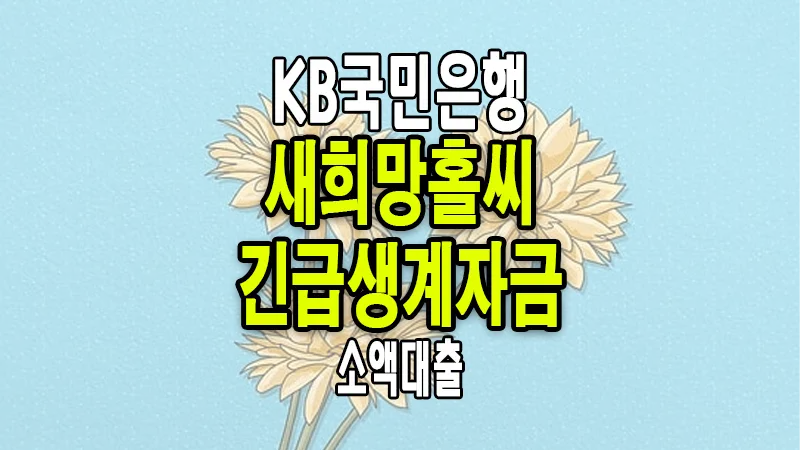 KB국민은행 새희망홀씨 긴급생계자금 소액대출