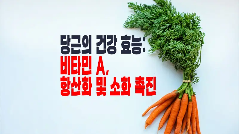 당근의 건강 효능: 비타민 A, 항산화 및 소화 촉진