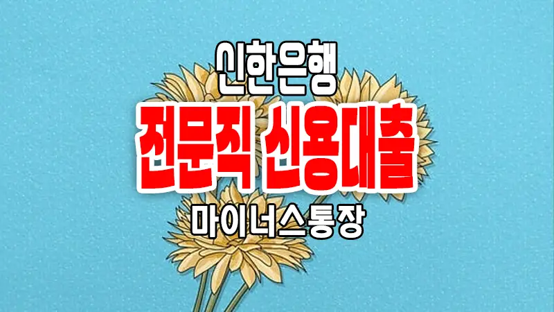 신한은행 신용대출 쏠편한 전문직 우대론